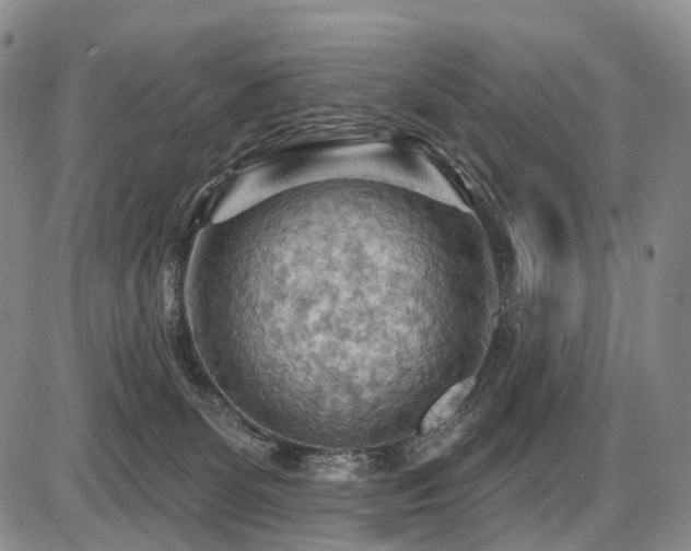 X0000087590131200704271317