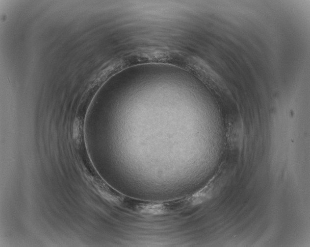 X0000087590132200704271317