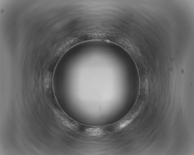 X0000087590133200704271317