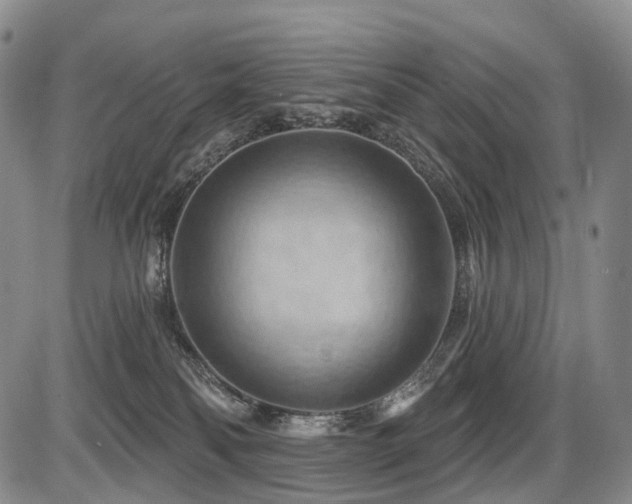 X0000087590134200704271317