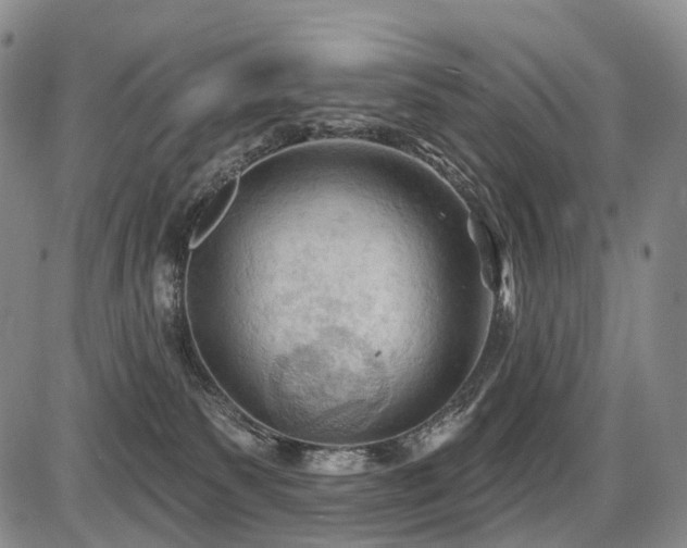 X0000087590135200704271317