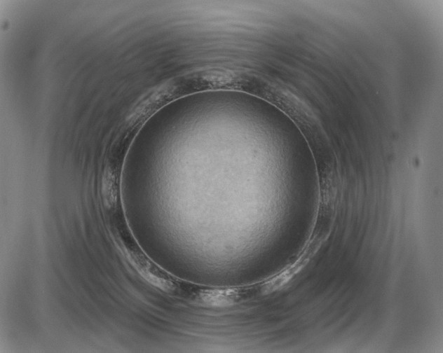 X0000087590136200704271317