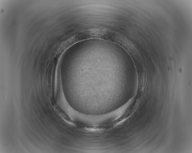 X0000087590137200704271317