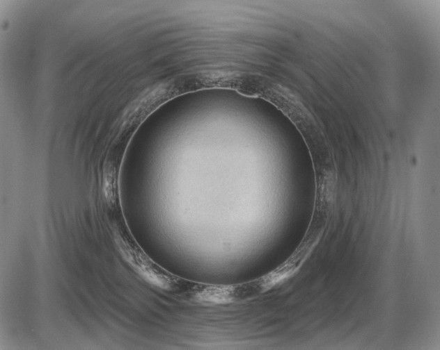 X0000087590138200704271317