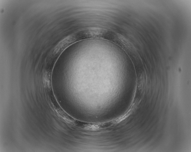 X0000087590140200704271317