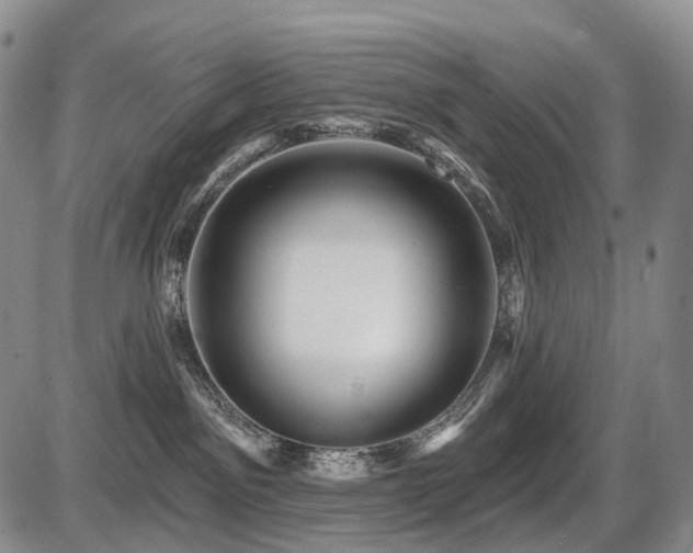 X0000087590141200704271316