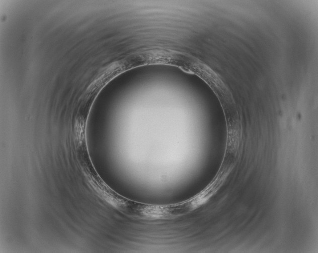 X0000087590142200704271316