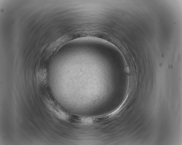 X0000087590144200704271316