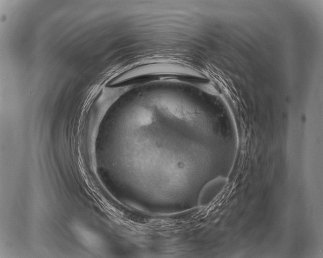 X0000087590145200704271316