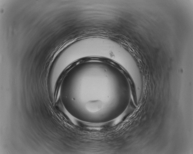 X0000087590146200704271316