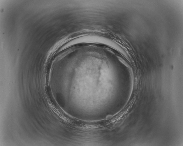 X0000087590149200704271316