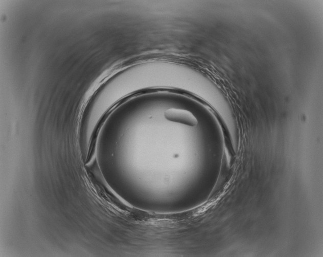 X0000087590150200704271316