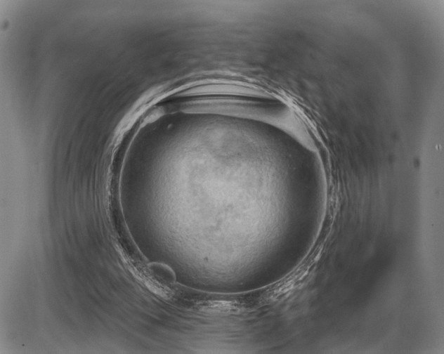 X0000087590151200704271316