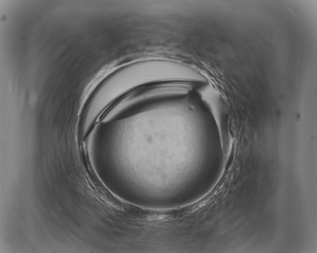 X0000087590152200704271316