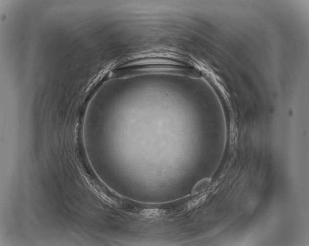 X0000087590153200704271316