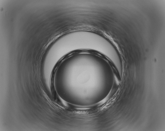 X0000087590154200704271316