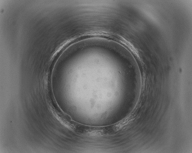 X0000087590155200704271316