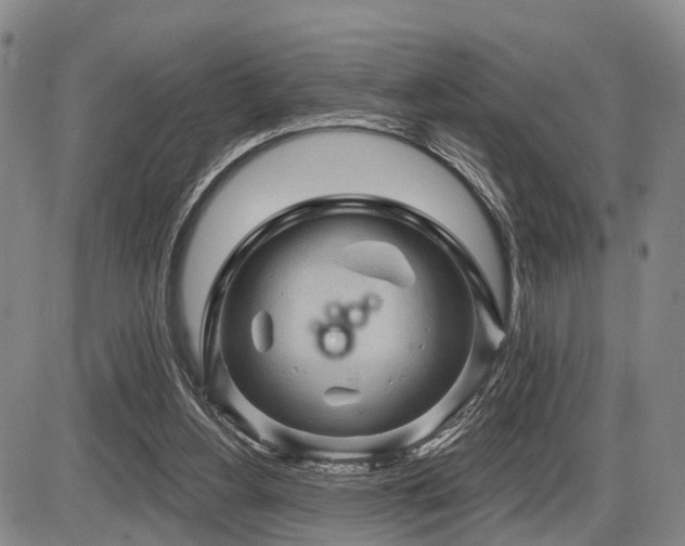 X0000087590156200704271316