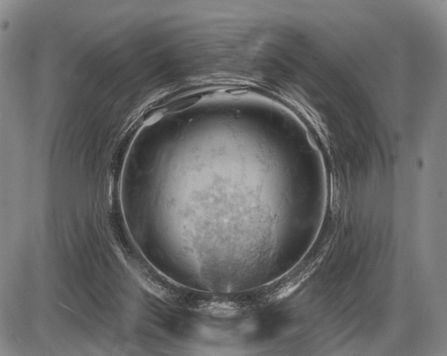 X0000087590157200704271316