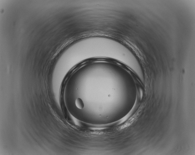 X0000087590158200704271316