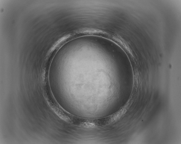 X0000087590159200704271316