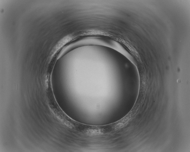 X0000087590160200704271316