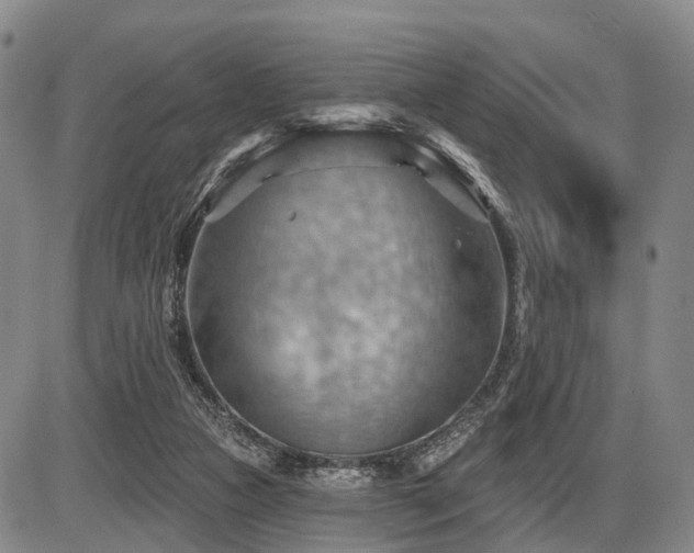 X0000087590161200704271316