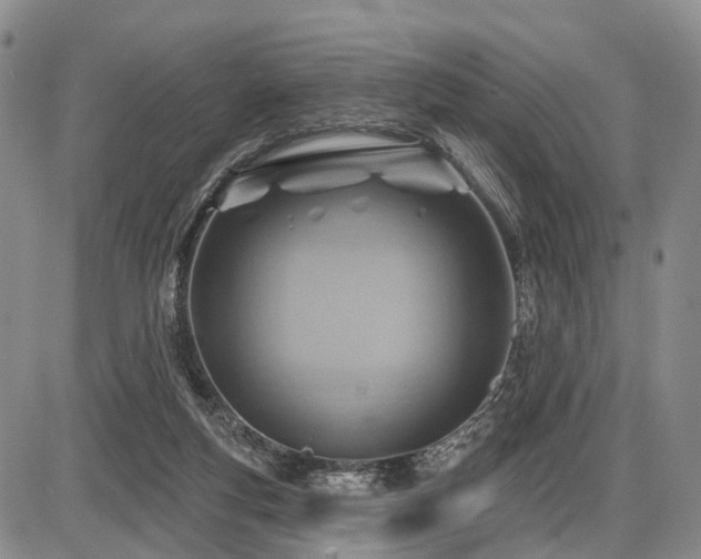 X0000087590163200704271316