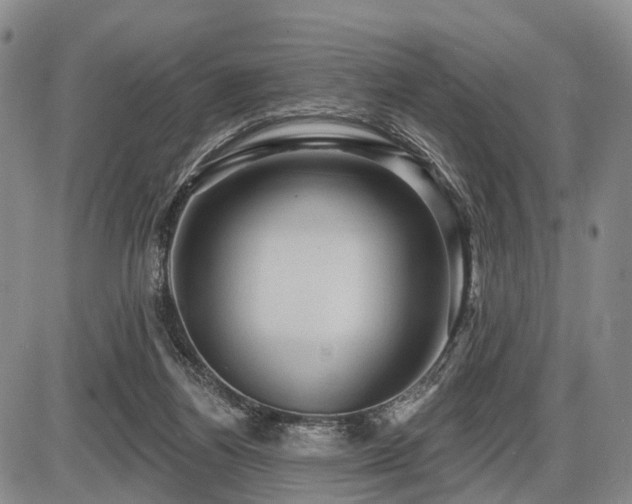 X0000087590164200704271316