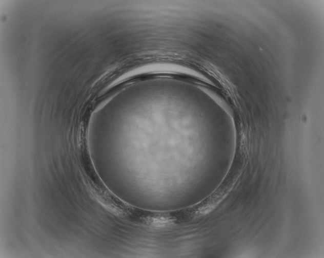 X0000087590165200704271316