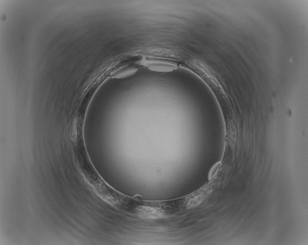 X0000087590167200704271316