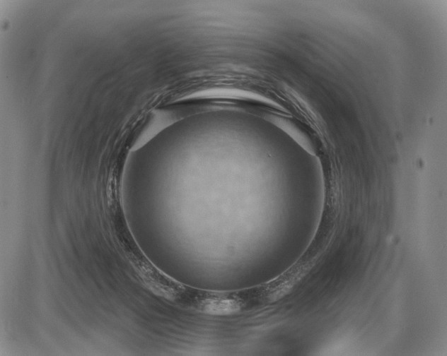 X0000087590169200704271316