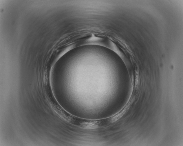 X0000087590170200704271316