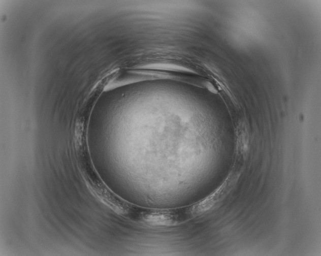 X0000087590171200704271316