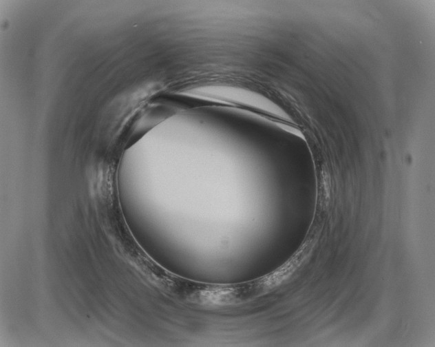 X0000087590172200704271316