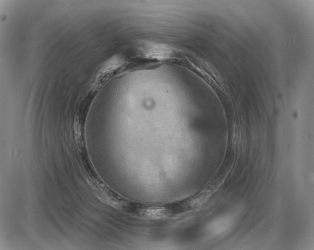 X0000087590173200704271316