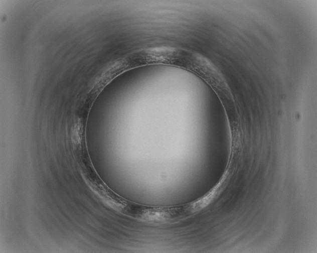 X0000087590174200704271316