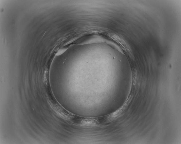 X0000087590175200704271316