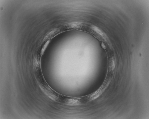 X0000087590176200704271316