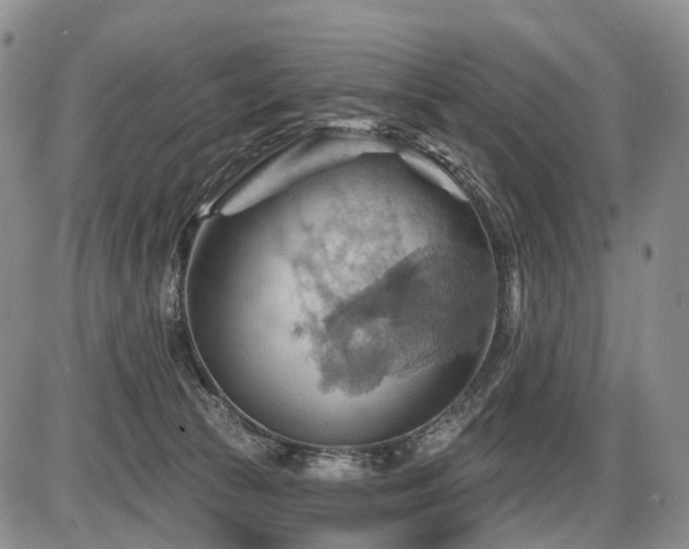 X0000087590177200704271316