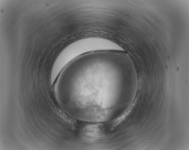 X0000087590178200704271316