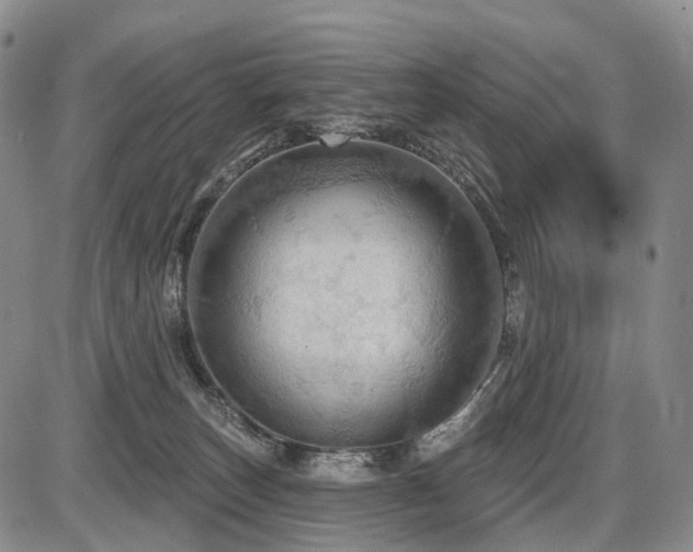 X0000087590179200704271316