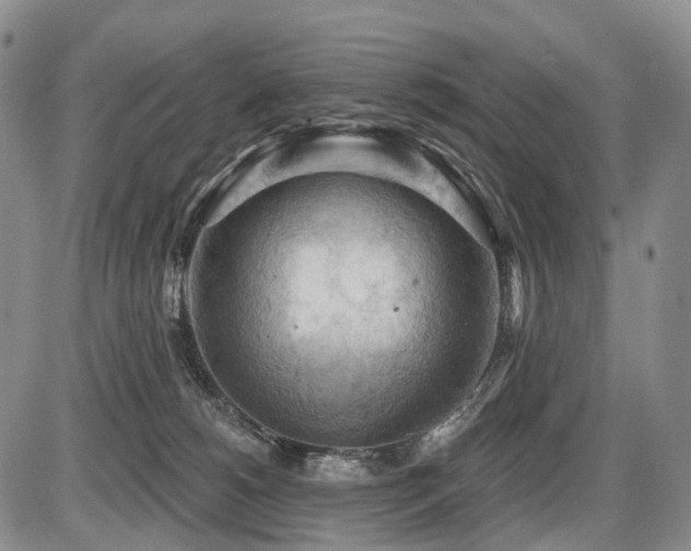 X0000087590180200704271316