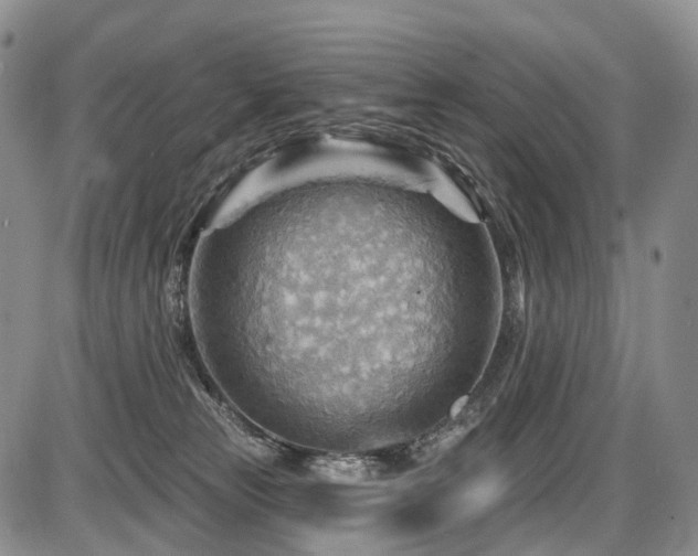 X0000087590181200704271316