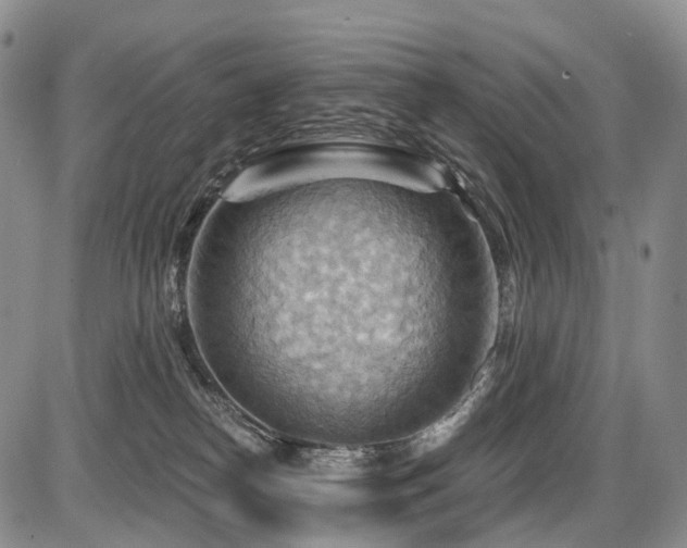 X0000087590182200704271316