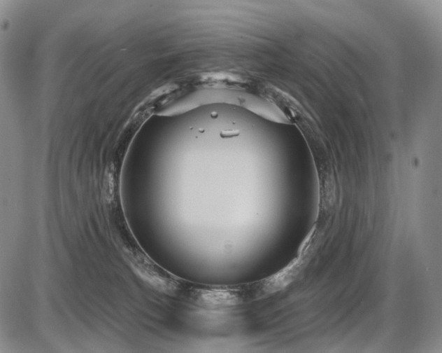 X0000087590183200704271316