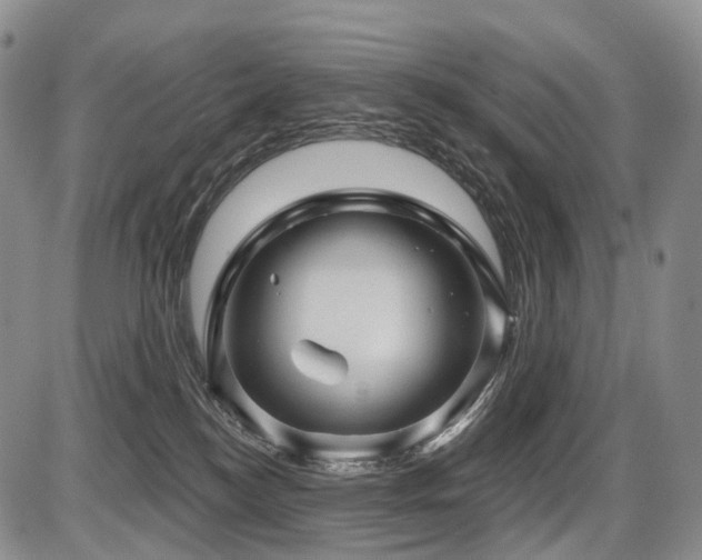 X0000087590184200704271316