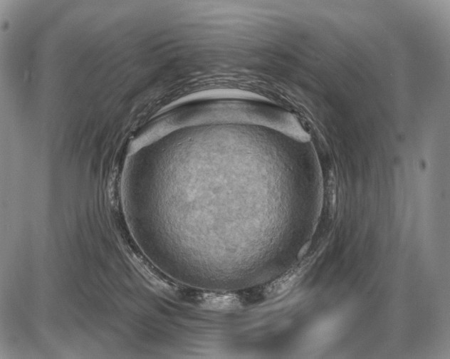 X0000087590185200704271316