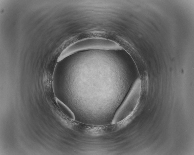 X0000087590186200704271316