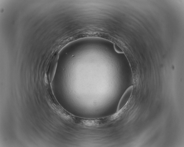 X0000087590187200704271316